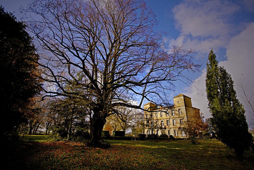 Domaine De La Celarie Mouzieys-Teulet Exterior foto